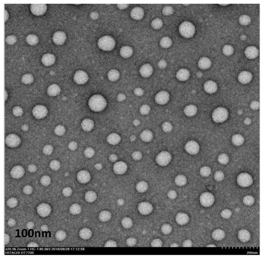 Specific targeting polypeptide self-assembled nanocarrier, drug-loaded nanoparticle and preparation method