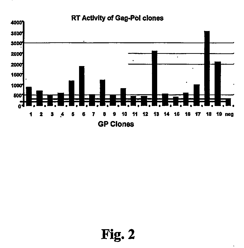 High-titer retroviral packaging cells