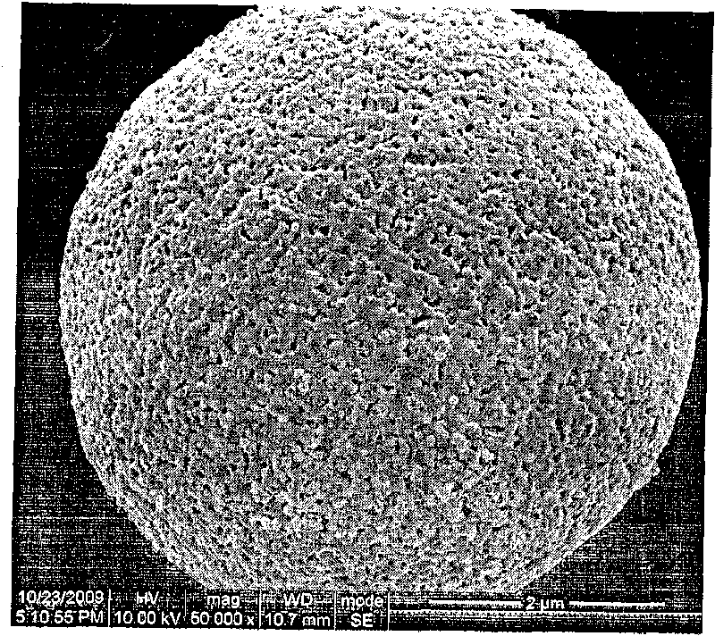 Porous polymer nanoparticle and preparation method thereof