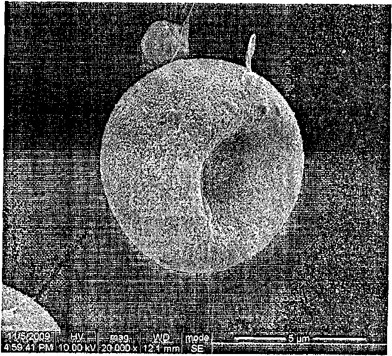 Porous polymer nanoparticle and preparation method thereof