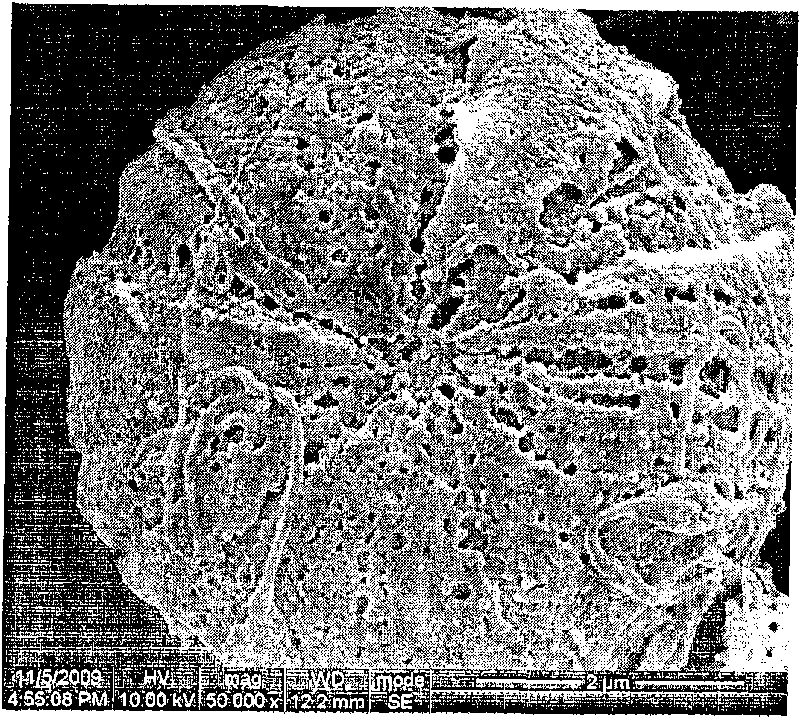 Porous polymer nanoparticle and preparation method thereof