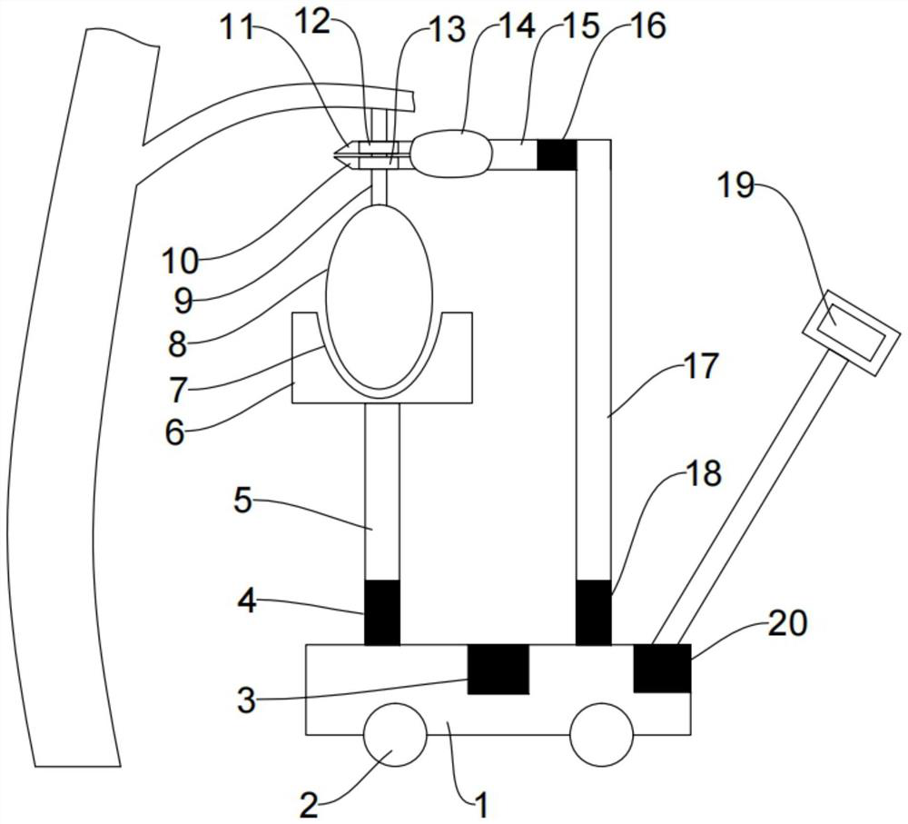 Jackfruit picking device