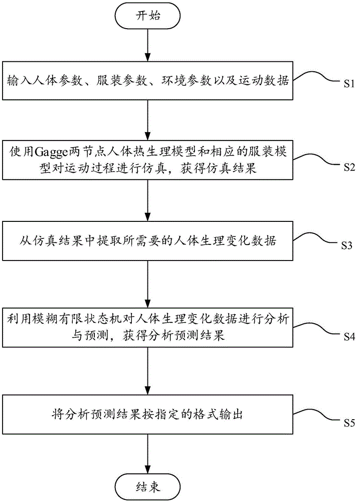 Sport health simulation and prediction method and system based on human thermal physiological model