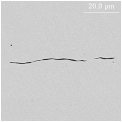 Production method for controlling large-sized hard inclusions in spring steel wire rods