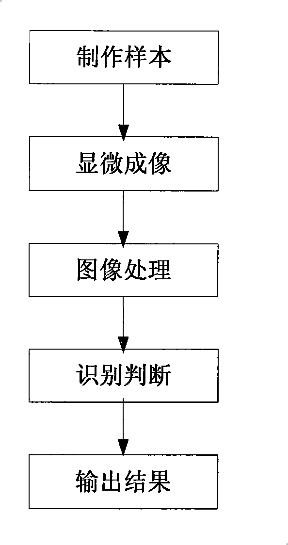 Intelligent recognition method and apparatus for microorganism