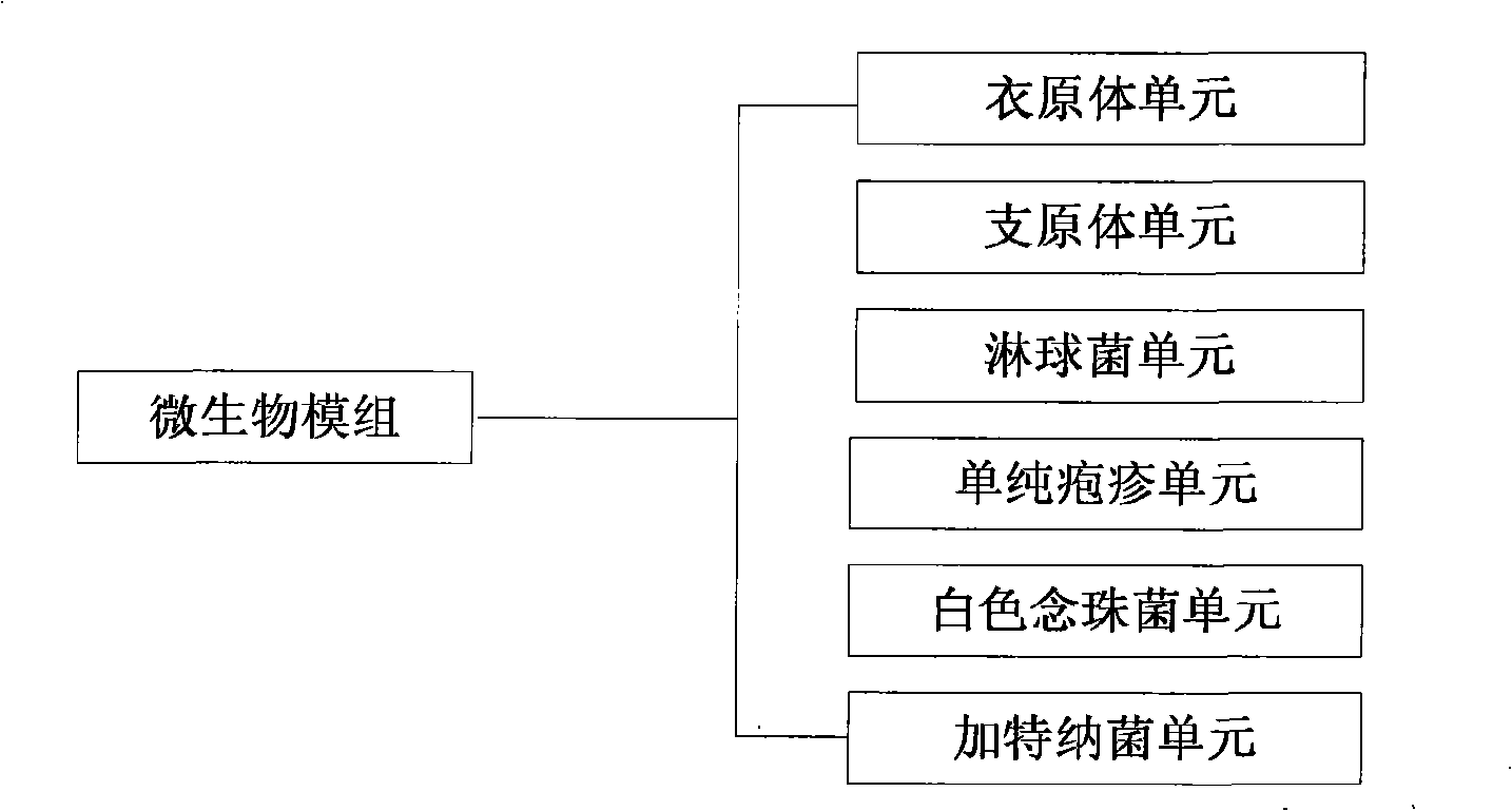 Intelligent recognition method and apparatus for microorganism