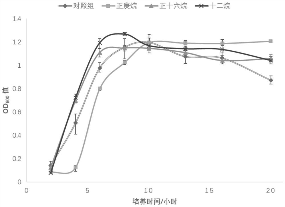 A kind of high-efficiency fermentation method of aflatoxin degrading bacteria