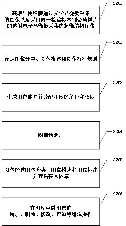 Biological cell ultrastructure map library establishment method and system