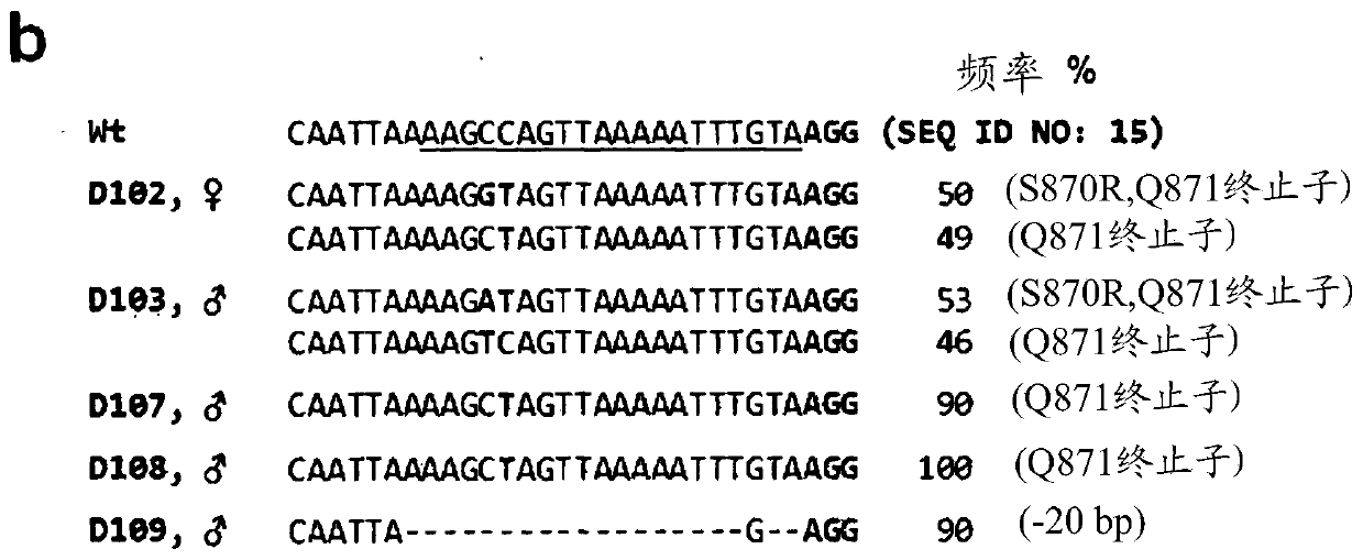 Composition for base editing for animal embryo and base editing method