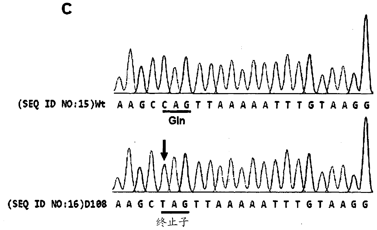 Composition for base editing for animal embryo and base editing method