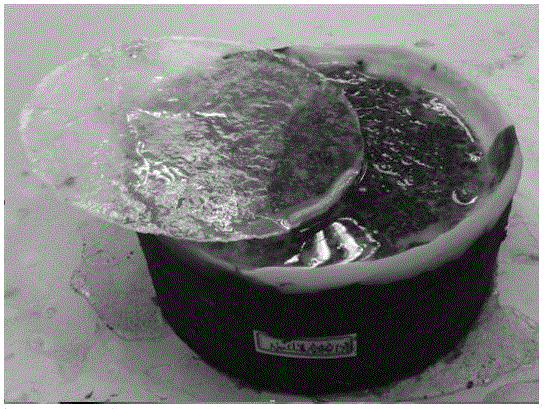 A slow-release three-component pavement deicing and snow-melting coating and its preparation method