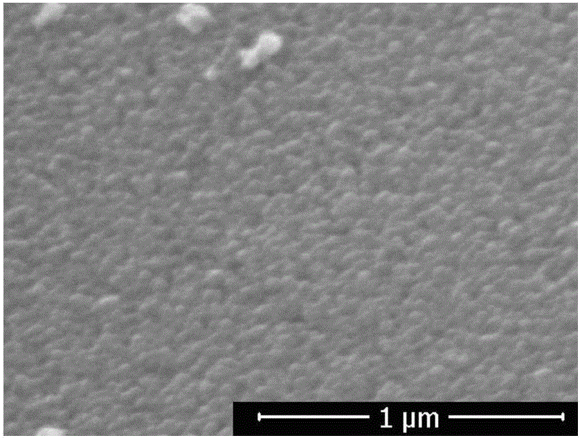 Conductive pearlescent pigment and preparation method thereof