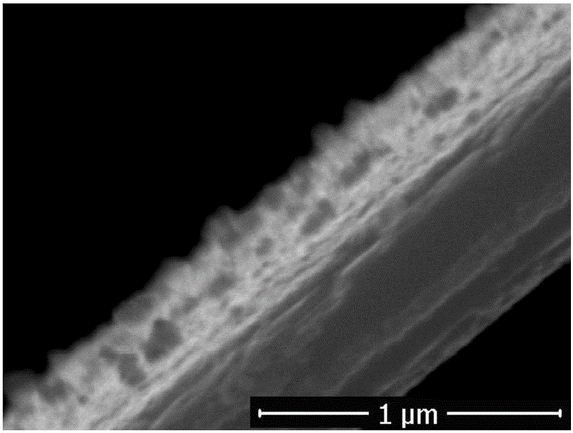 Conductive pearlescent pigment and preparation method thereof