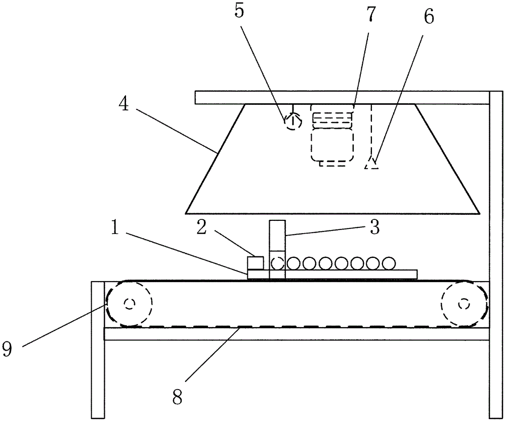 Visual detection apparatus and method for quality of corn kernel