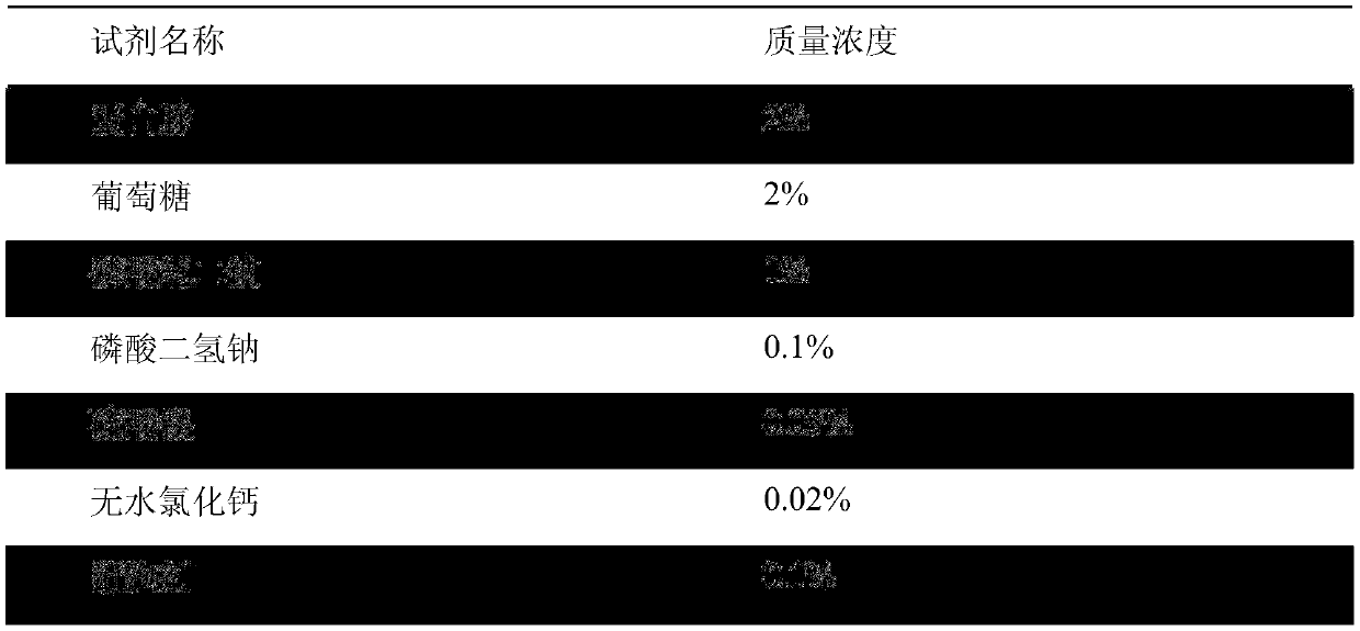 Application of bacillus subtilis fibrinolytic enzyme in treating bronchitis