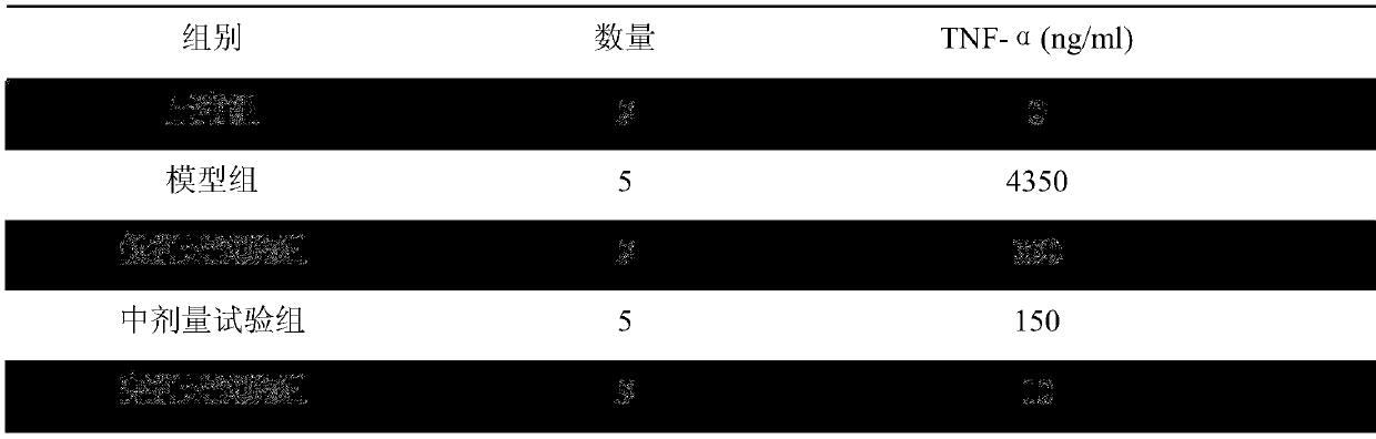 Application of bacillus subtilis fibrinolytic enzyme in treating bronchitis