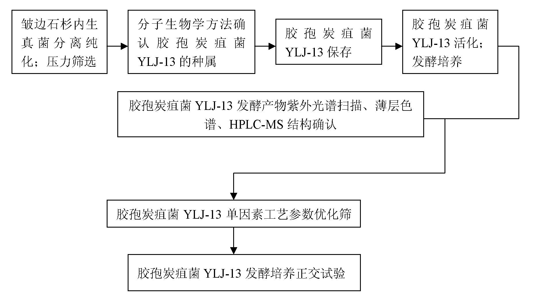 Huperzine A high-producing strain and method for producing huperzine A by fermenting same