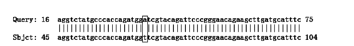 Application of MLH1 gene, and kit for detecting gastrointestinal stromal tumor