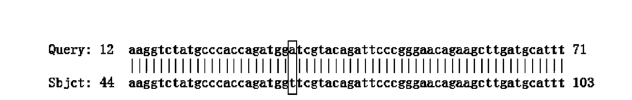 Application of MLH1 gene, and kit for detecting gastrointestinal stromal tumor