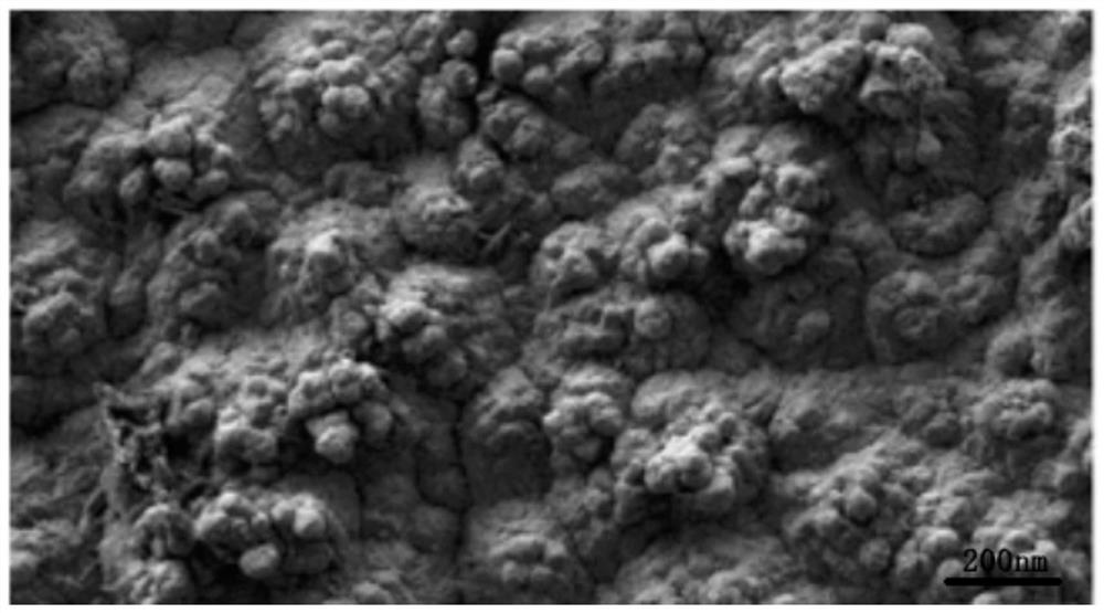 Matte organic silicon high-impact toughening agent and preparation method thereof