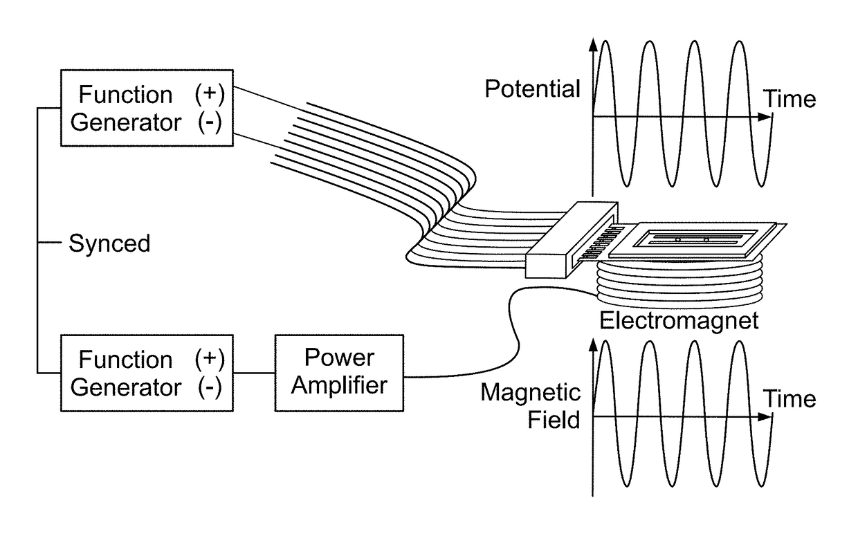 Magnetohydrodynamic microfluidic systems including modified electrodes and methods of using the same