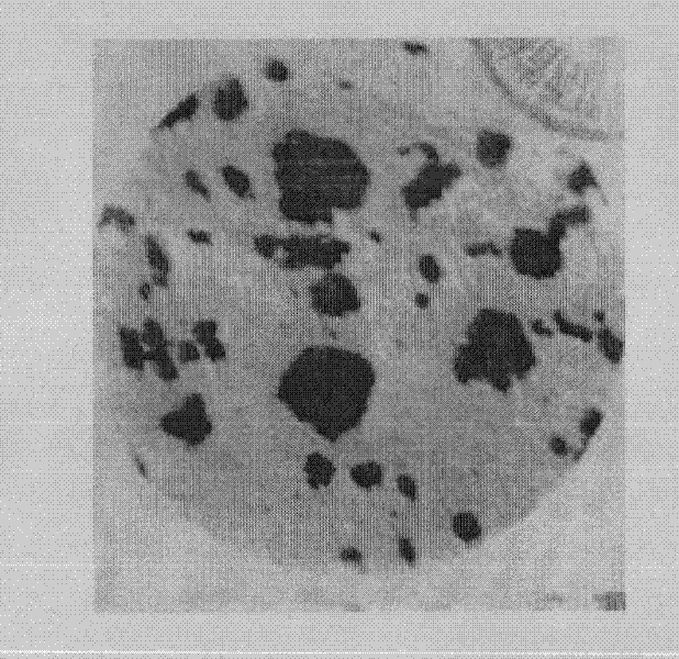 High-temperature-resistant and corrosion-resistant alloy and preparation method thereof