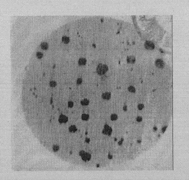 High-temperature-resistant and corrosion-resistant alloy and preparation method thereof