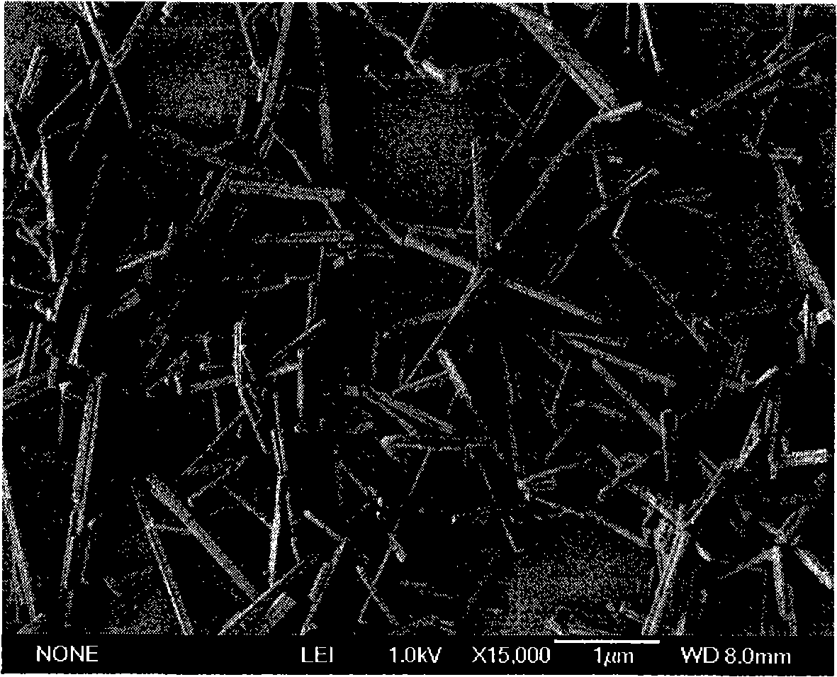 Low-temperature molten salt thermal inversion preparation method of aporate-crystal antifungin whiskers