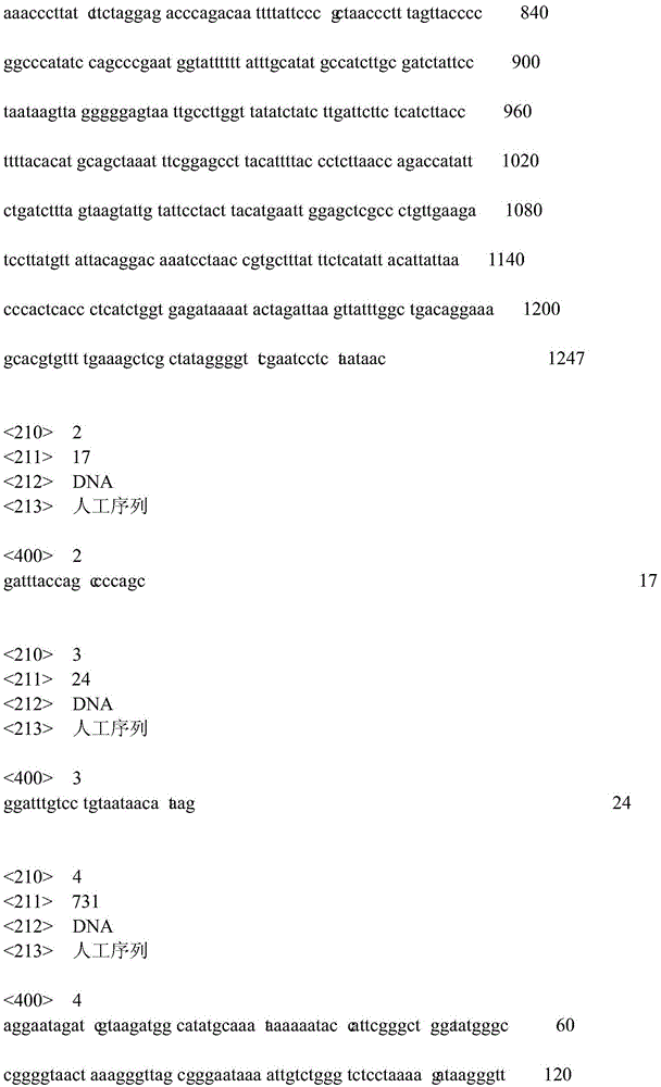 A method for evaluating the release effect of Penaeus japonicus