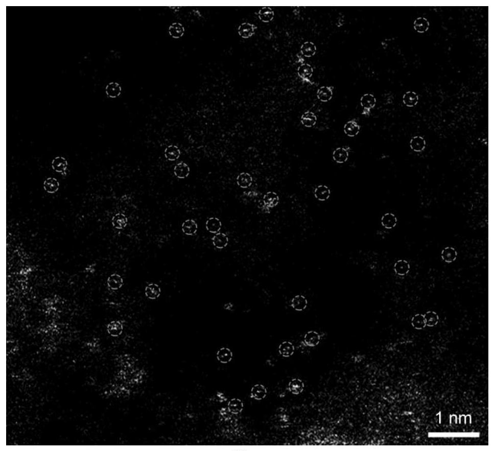 Iron monatomic catalyst, preparation method thereof and application thereof in water electrolysis oxygen evolution reaction