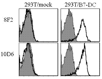 Human soluble B7-DC quantitative detection kit