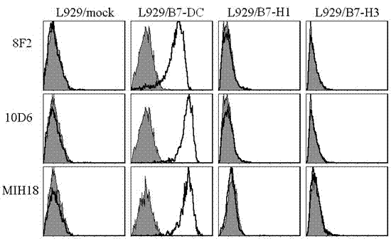 Human soluble B7-DC quantitative detection kit