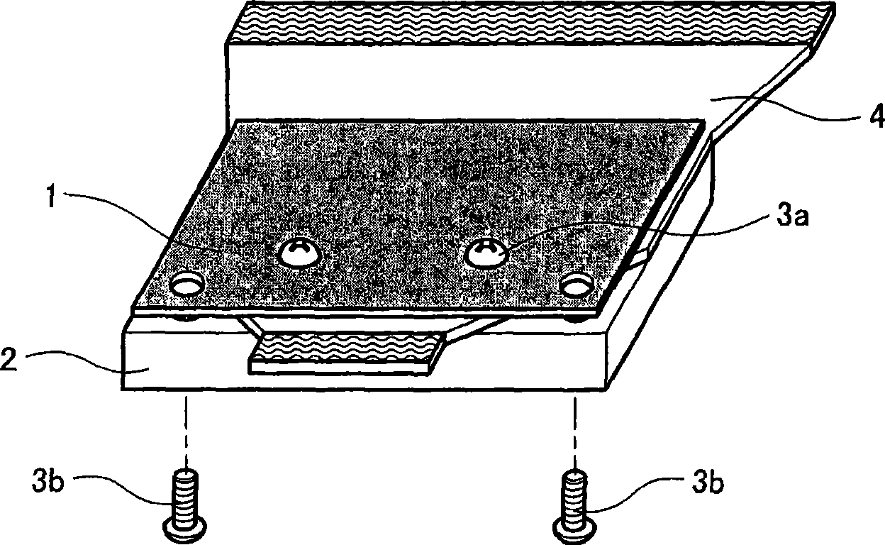 Semiconductor module device, production method thereof, display device and display panel