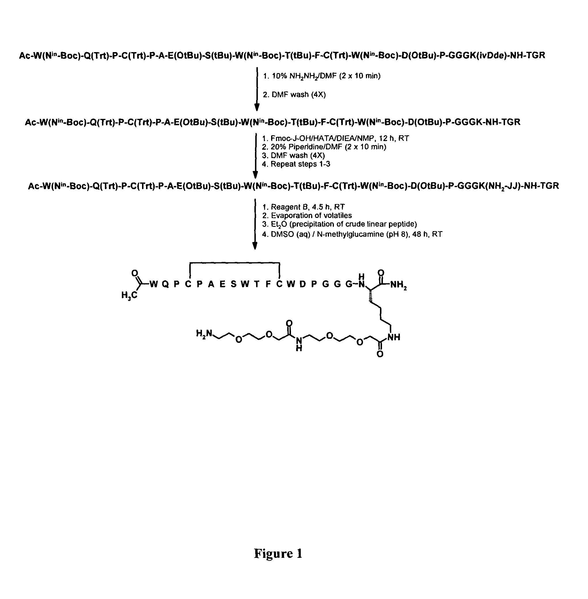 Fibrin-Binding Peptides and Conjugates Thereof