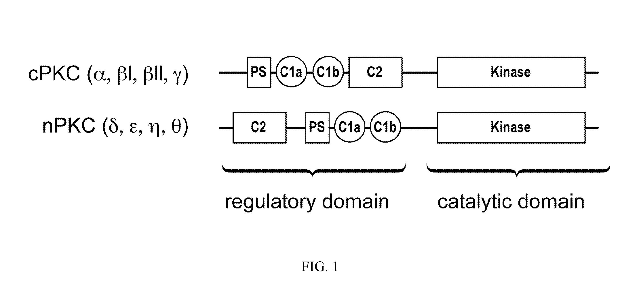 Bryostatin analogues, synthetic methods and uses