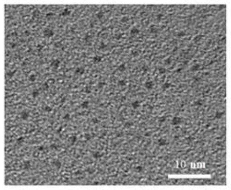 Preparation method and application of a yellow fluorescent bioimaging material