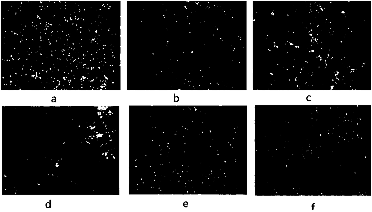 A kind of detection method of maldi-tof-ms of polythiocarbonate compound