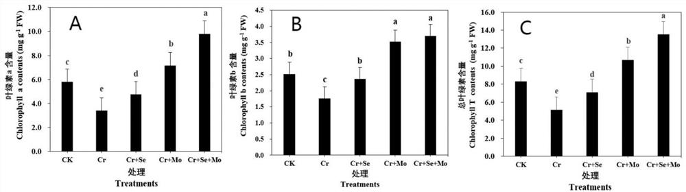 Application of exogenous selenium-molybdenum composition in relieving chromium stress of tobacco