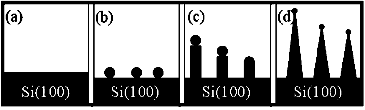 Preparation method for needle point type silicon nanowire