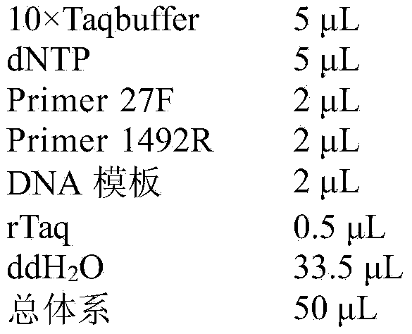 Pseudomonas strain capable of producing siderophore with high yield and application thereof