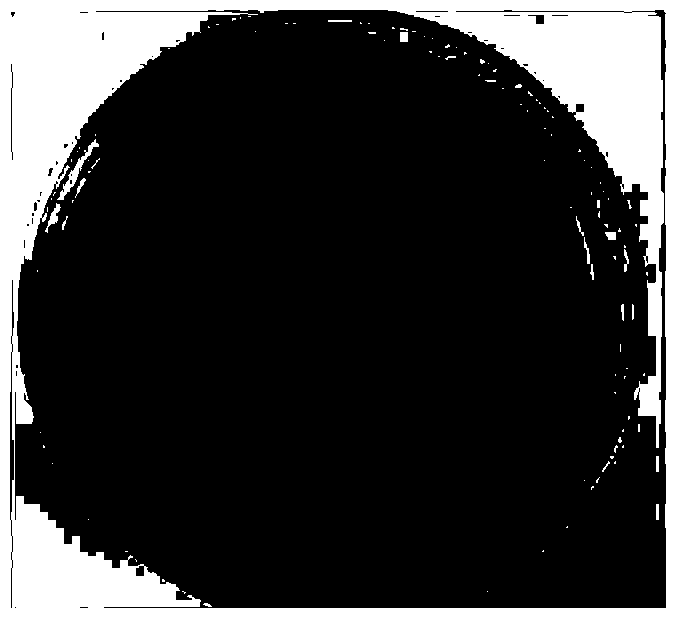 Pseudomonas strain capable of producing siderophore with high yield and application thereof