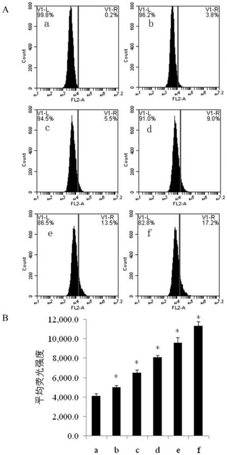 Application of a kind of hypholomine B in preparation of immune activator