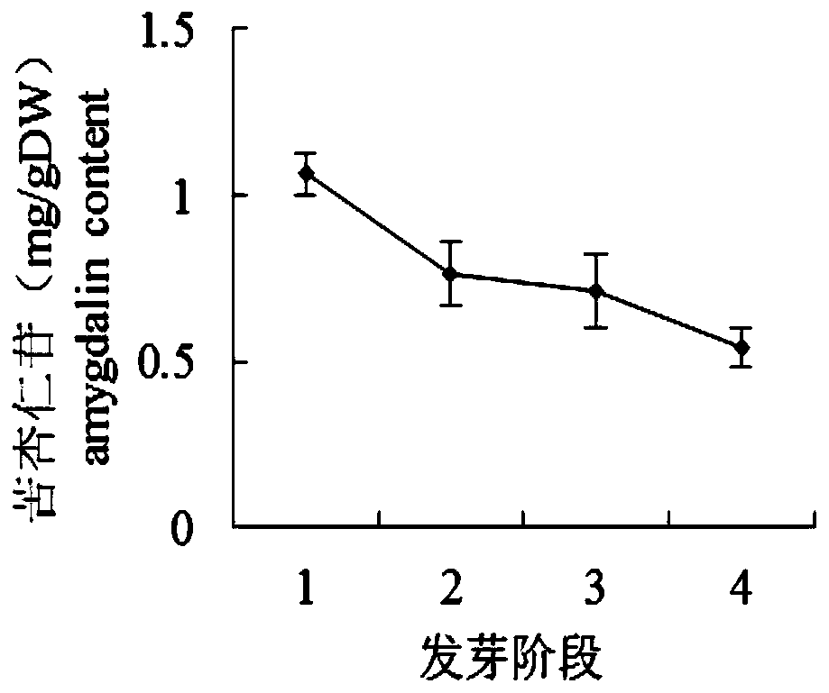 A ginkgo high-calcium milk drink and preparation method thereof