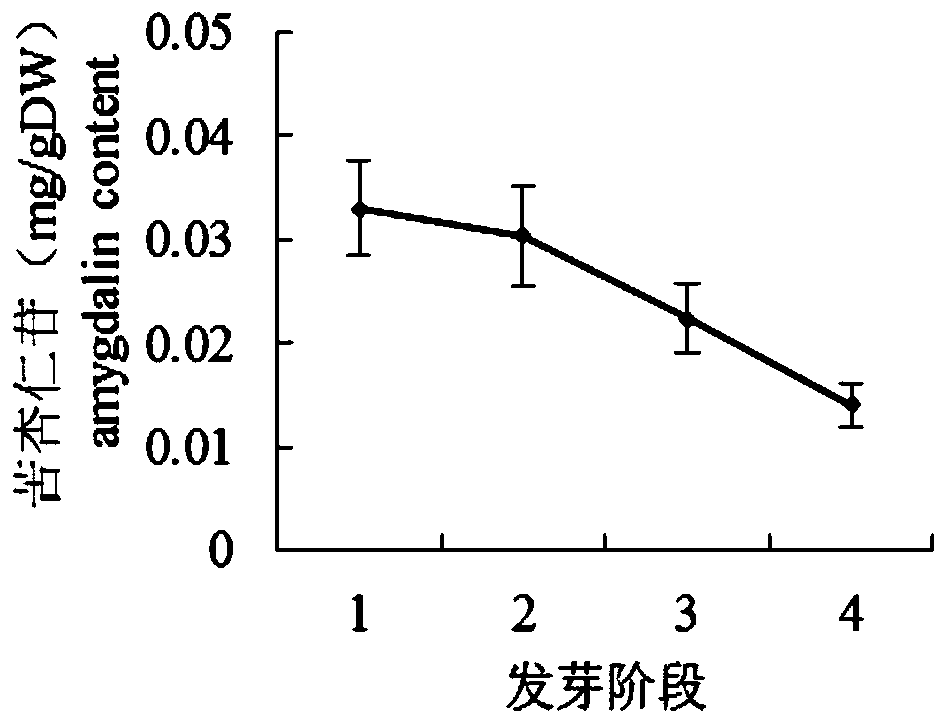 A ginkgo high-calcium milk drink and preparation method thereof