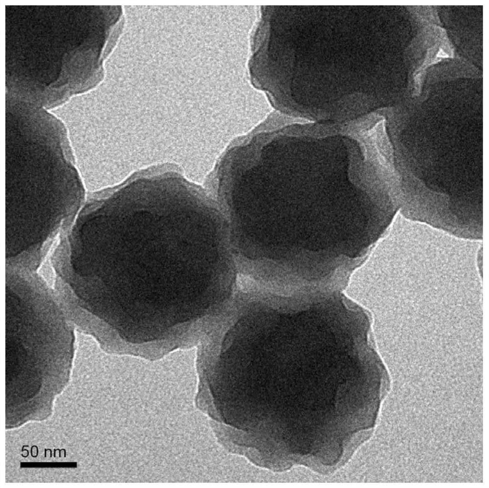 Preparation method and application of antireflection coating liquid containing raspberry-shaped hierarchical structure latex particles