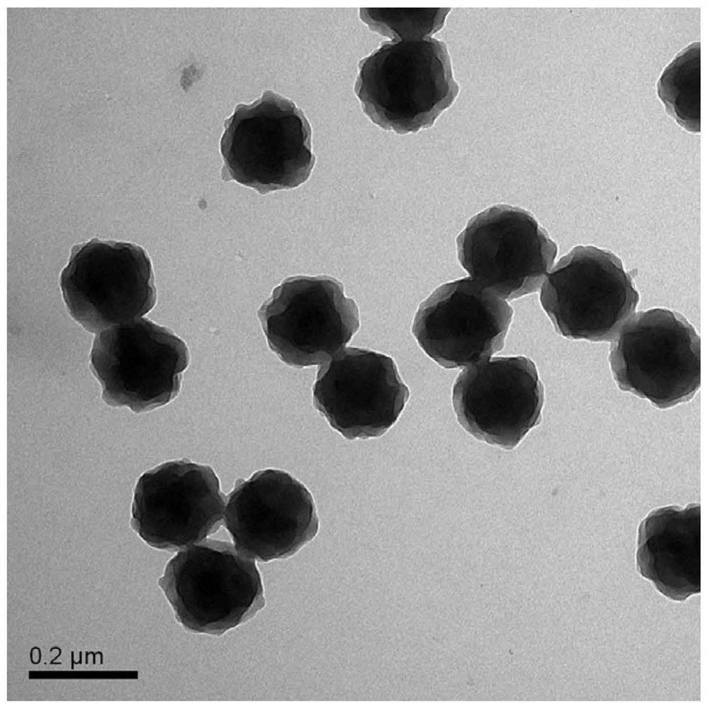 Preparation method and application of antireflection coating liquid containing raspberry-shaped hierarchical structure latex particles