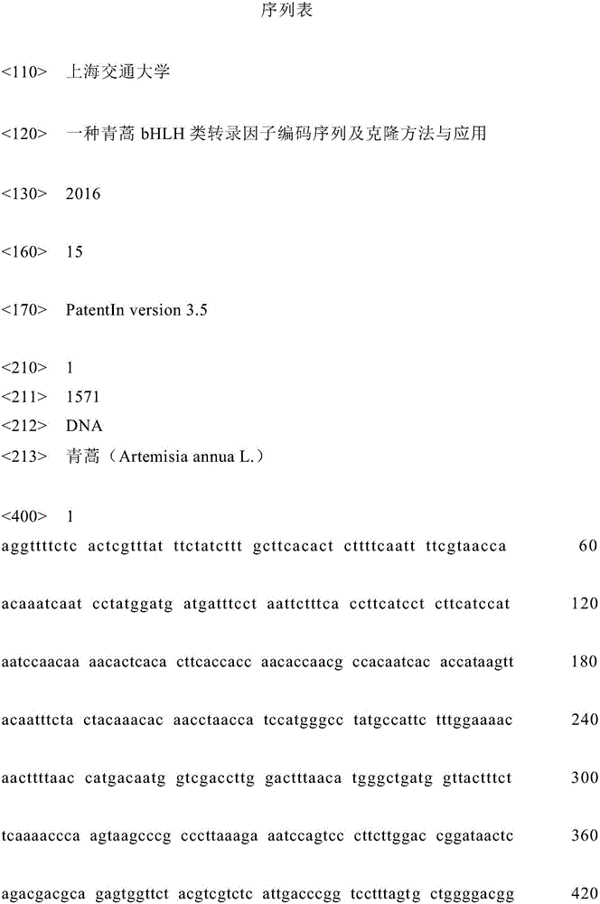 Artemisia-apiacea bHLH transcription factor coded sequence and clone method and application thereof