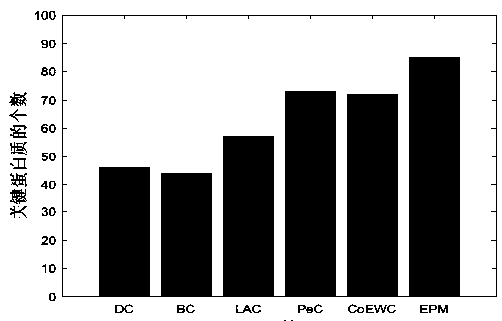 Key protein identification method based on Markov random walk