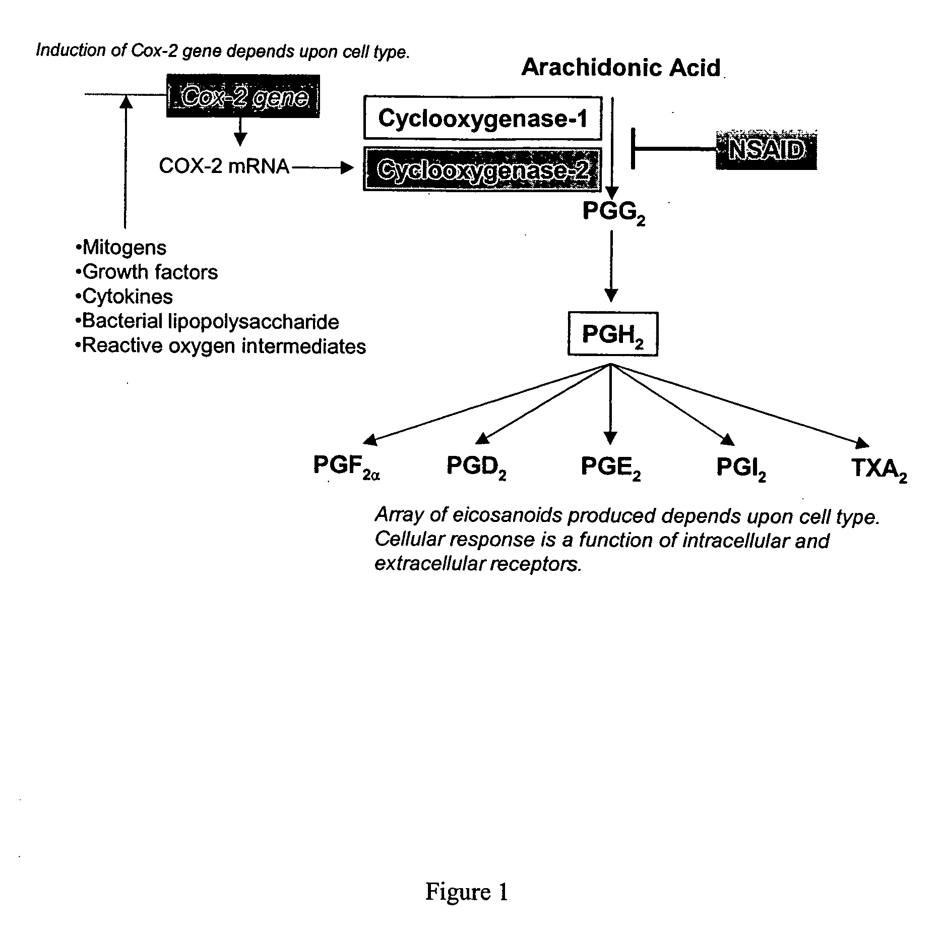 Synergistic compositions that treat or inhibit pathological conditions associated with inflammatory response