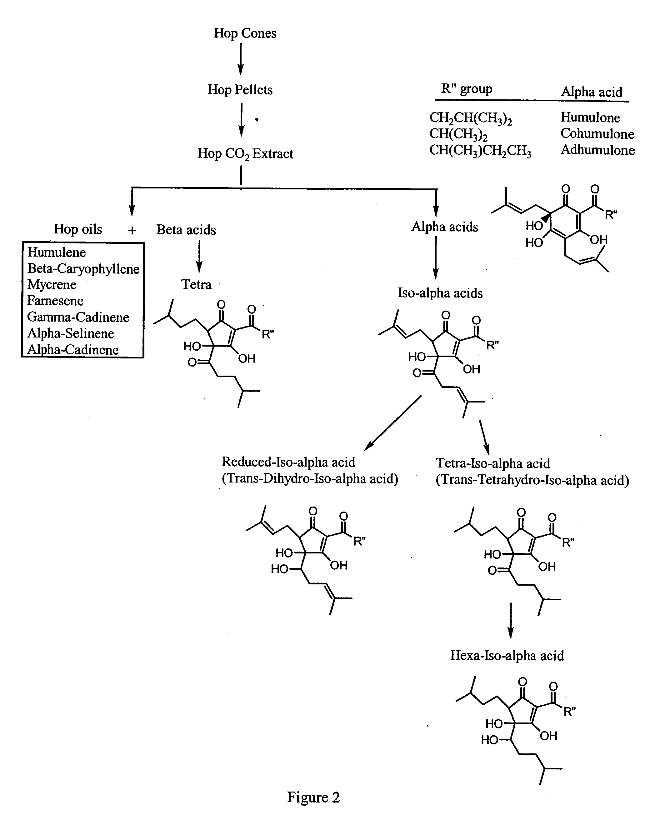 Synergistic compositions that treat or inhibit pathological conditions associated with inflammatory response